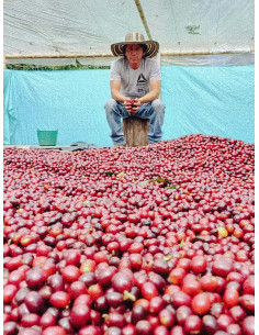 Father's Coffee Kolumbia Inza 250 g 2