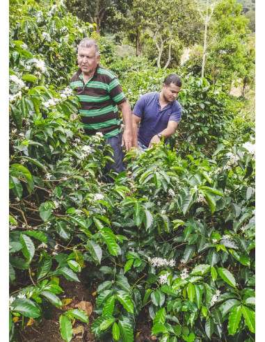 Kawa Francin Kolumbia Finca La Providencia De Jeshua 250 g