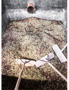 GourmetKáva Specialty - Kenya Kiri  ESP 250g 2