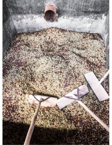 GourmetKáva Specialty - Kenya Kiri  ESP 250g