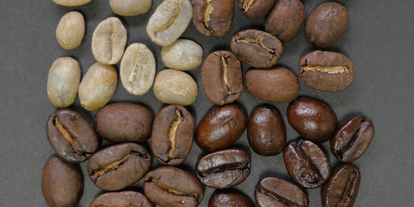Porównanie: kawa Arabica vs Robusta