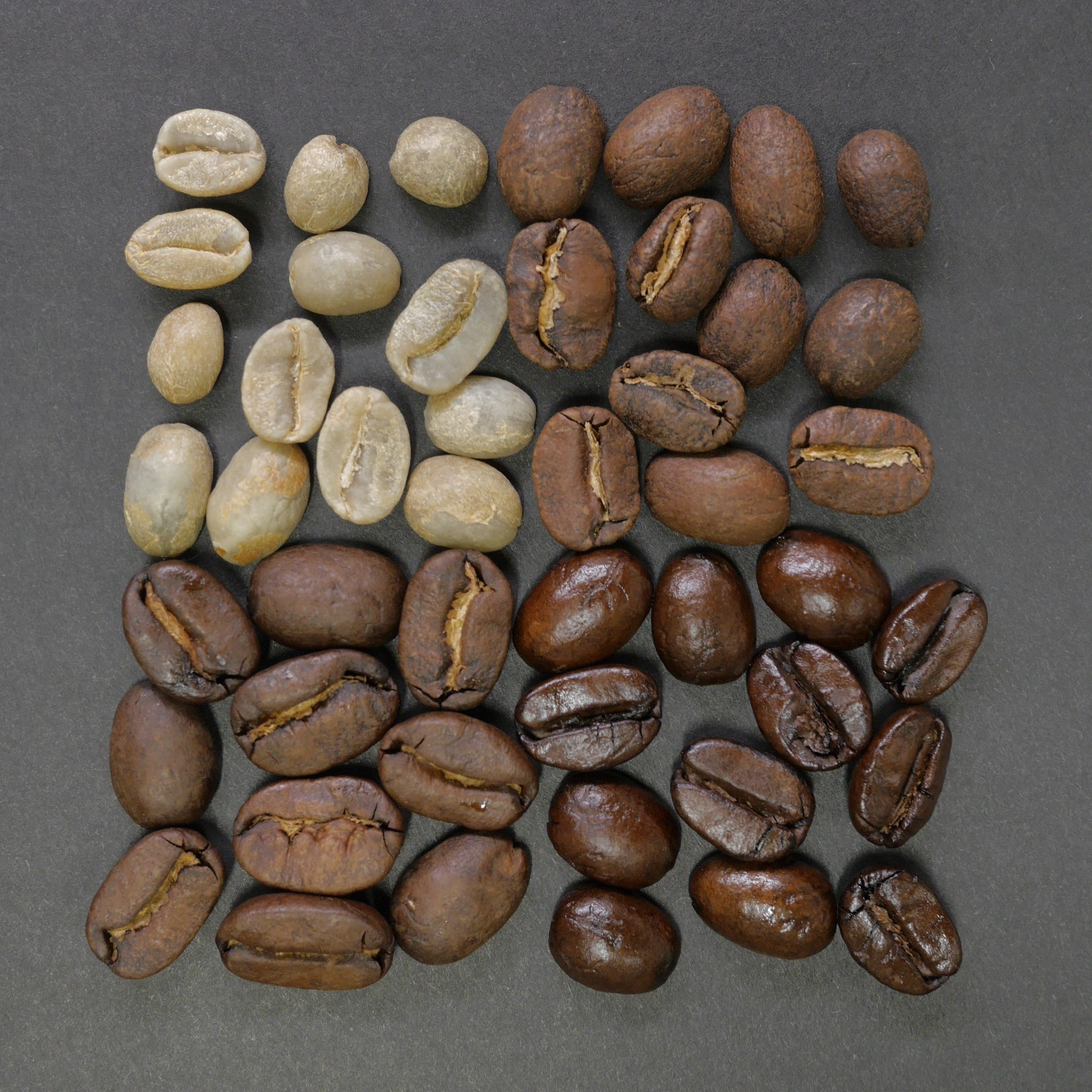 Porównanie: kawa Arabica vs Robusta